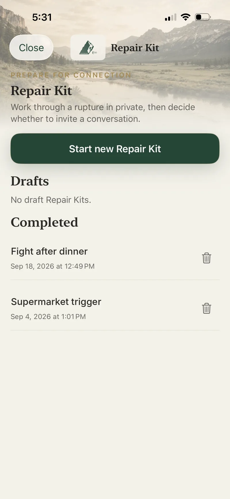 Ascension Repair Kit with completed kits