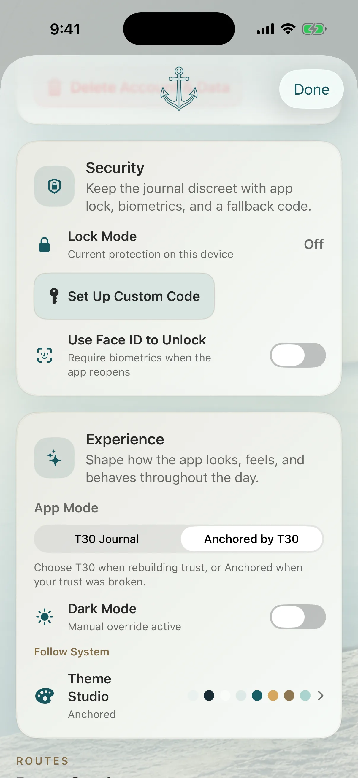 Anchored settings showing the Anchored theme
